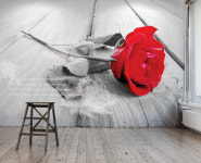 A228 엘르 장미꽃 사진 실사 창문 침실 뷰티샵 모텔 펜션 벽지 : 코코룸