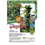슈퍼진미참깨씨앗 3000립 : 제일농약사