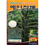 예안참깨씨앗 3200립 : 제일농약사