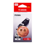캐논 PGI-750XL 잉크 IP8770 7270 IX6770 IX6870 MX727 : 잉크다파라