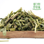 곽향 300g 국내산 배초향 방아잎 : 샘그린한방몰