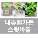 화분백화점 내츄럴가든 스윗바질 : 화분백화점