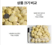 농부가 직접 재배 생산 판매 믿을수있는 순국내산 유기농 풋풋농장 깐밤 500g 생율 알밤 : 위캔두몰