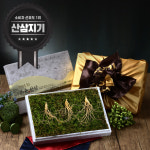 삼모아 산양산삼 5년근 3뿌리 산양삼 장뇌삼 산삼 고급선물세트 : 삼모아