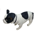 퍼피니스 반려견 반려묘  24시간 연속착용 비비드 모노 누디 상시 인식표 : 퍼피니스