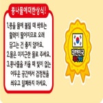 집에서키우기좋은채소 어린이집콩나물키우기 키워먹는 재배키트 집에서숙주 낱개1개 : 잡화투데이