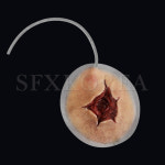 SFXKOREA/병원 경찰 군부대 상처치료 훈련교재 SFX.자가점착 외상피부... 연습키트 의료교육 의학 시뮬레이션 사입구 총기사고 : SFX KOREA