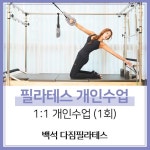 [다짐필라테스 백석역점][일산동구] 필라테스 통증관리 체형교정 1:1 개인레슨 일대일 레슨권 : 백석 다짐필라테스