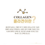 뉴바이오 저분자 피쉬 콜라겐 피부건강 다이어트 : 건강터