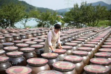 마야항아리 보리된장 2.5 전통 재래식 시골 집된장 : 마야항아리춘장