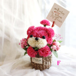 카네이션 꽃바구니 강아지 비누꽃댕댕이 어버이선물 스승의날 : 초하플라워