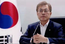 커버그라운드 스펠로(듀얼티타늄) : 눈에눈안경