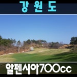 알펜시아cc 구 대중제, 알펜시아 700 골프클럽 국내골프패키지 : 골프맨 투어