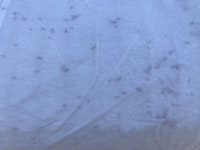 황마씨네트 1x50m 씨쥬트네트 씨네트 황마종자네트 경사면시공 사면녹화 : 나라조경자재