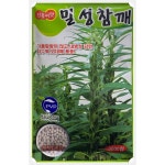 밀성 참깨씨앗 3000립-기름함량이 많고 내병성 강한 다수확 외대깨(코팅씨앗)2022년포장 : 서진농약사