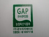 (산지직송)  아삭아삭 맛있는 백다다기오이  판매합니다.5kg~10kg~ : 은서네농원