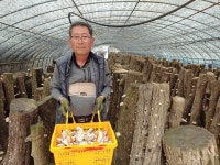 국산 참나무 말린표고버섯 슬라이스 건표고버섯 1kg : 농산물을 부탁해