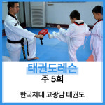[한국체대 고광남태권도][수정구] 태권도 레슨 주 5회 : 한국체대 고광남태권도