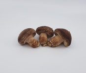 웅스팜 3등급 송화버섯 (1kg, 500g) : 웅스팜 여주 송화버섯