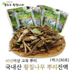 국내산 황칠나무뿌리 진액 건강즙 효능 : 불로초황칠나라