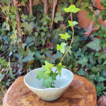 다화꽂이 벌집 : 보산토기