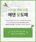 [공기정화식물]스투키 : 에덴꽃도매-서서울화훼유통