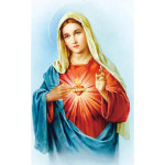 보석십자수 성모성심 B1144 : 조이십자수