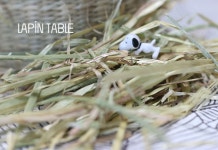 라핀하우스 연맥 1kg 토끼 기니피그 간식 초식동물 : 라핀테이블