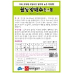 양배추씨앗 윈스톰(2500립)-내한성,내서성우수 : 쑤기네마트