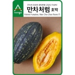 호박씨앗 만차처럼 (10립) - 고당도 단호박 : 쑤기네마트