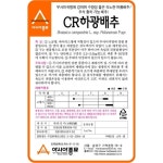 배추씨앗 CR하광(2000립) - 여름배추 : 쑤기네마트