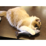 물고기인형 고양이 캣닢 쿠션 장난감 니모 생선 20CM : 써티이얼즈