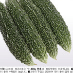 여주씨앗 여주임페리얼(10립) - 신품종,최고급종 : 쑤기네마트