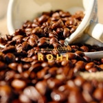 프리미엄 싱글오리진 커피원두 1kg : 로히커피