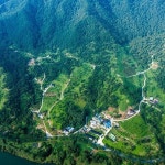 [지리산농부마을] 2026 지리산 야생 고사리 채취 체험농장 ( 구례여행 / 하동여행, 화개장터인근 ) : 지리산 농부마을