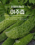 [60포] 장금이네농장 국내산 100% 여주즙 햇여주 진액 엑기스 : 장금이네농장