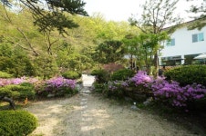 리얼다이어트캠프 3박 4일 작심3일반 : 리얼다이어트캠프