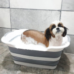 강아지 접이식 욕조 반려견 목욕탕 반려동물 스파 : 반값문방구