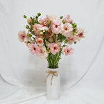 버터플라이 라넌큘러스 생화 태안꽃농장 직접재배 필랑말랑 : 필랑말랑