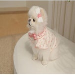 펫츠앤미 프리사이즈 진주 레이스 핸드메이드 헤어핀 명품 강아지옷 애견의류 마이앨리스독 : 마이앨리스독