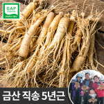 금산 인삼 삼계용 수삼 750g 대 5년근 백숙용 튀김 요리 한채 진공포장 인삼차 : 세일즈파워