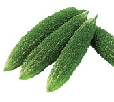 여주종자 (10립/1봉)- 텃밭여주, 여주씨앗 : 농업회사법인가나종묘주식회사