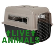 강아지 케이지켄넬 LIVE ANIMALS 스티커 : 누벨바그N