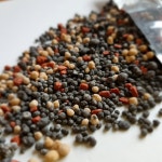 쓰리앤바이오 웃자람 방지 다육이 알비료 식물 화분 텃밭 복합비료 영양제 (1Kg) : 비료세상