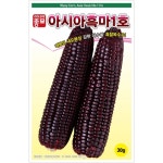옥수수씨앗 아시아흑마1호(700g) - 흑찰옥수수 : 쑤기네마트