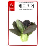 청경채씨앗 레드쵸이 (120g) - 기능성 청경채 : 쑤기네마트