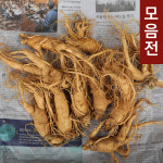 강화고려인삼센터소정네 | [★난발삼★] 강화고려인삼센터 5년근 6년근 수삼 750g / 인삼,원수삼,난발삼,강화인삼,홍삼 : 강화고려인삼센터