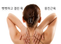 목 근육 뭉침 뻐근 할때 결림 뒷목 골프공 마사지 풀기 경추 어깨 휴대용 뭉친 : 꿈나무몰