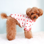 프릴리 러브러브 강아지 봄티셔츠 강아지옷 S~XL : 메이리제이펫