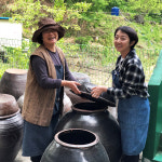 황금능선발효원 마가목식초 250ml /마시는 자연 건강발효초 : 에코스토리